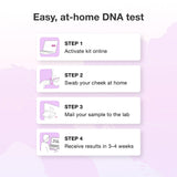MyHeritage DNA kit: plateforme de relations familiales et connexions