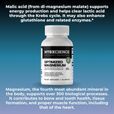 MYOXCIENCE Magnésium Glycinate Taurate emballage — transparence et qualité conformes cGMP.