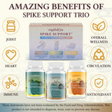 Mystidow Spike Support Trio, curcuma fermenté, favorise une absorption supérieure et le bien-être quotidien