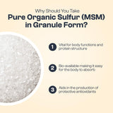 My Vida Origins Soufre Pur Organique – ambiance nature, sans allergènes, pour un mode vegan.