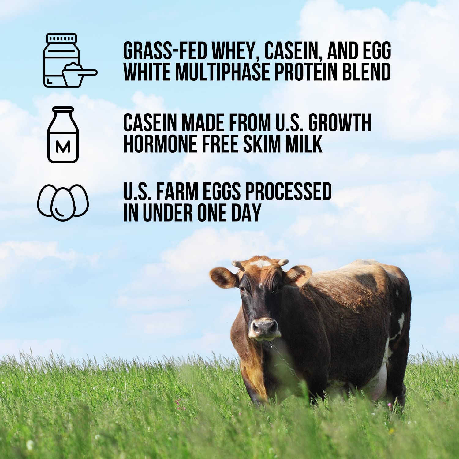 NAKED Protein: sans additifs pour une nutrition simple et naturelle