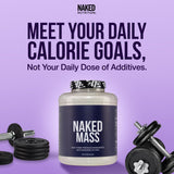 NAKED Strawberry Mass: utilisation quotidienne en shakes et recettes