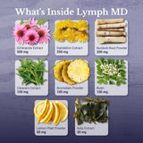 NATION HEALTH MD Lymph MD – capsules: prises faciles à intégrer dans la journée.