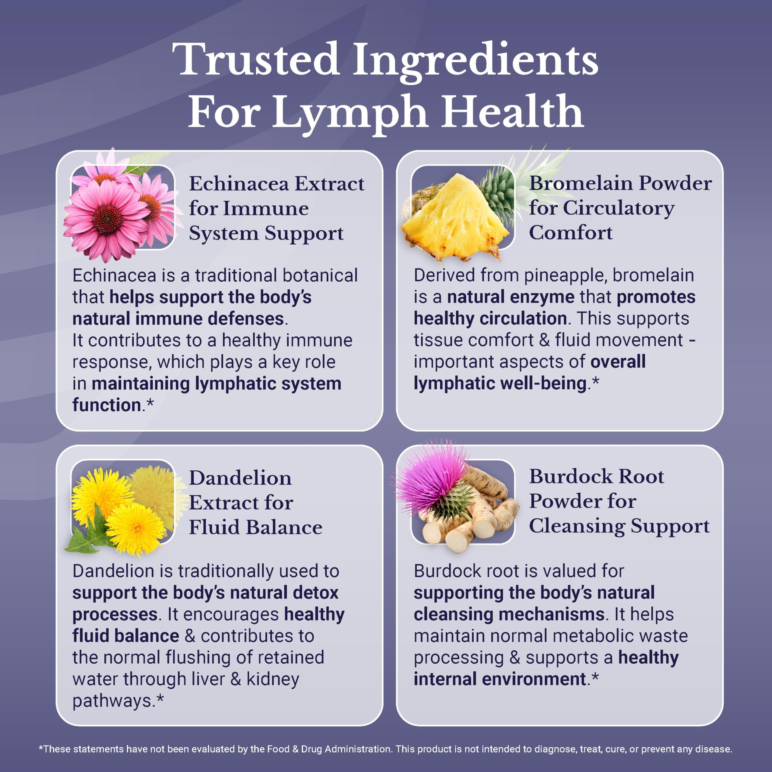NATION HEALTH MD Lymph MD – ingrédients botaniques: mélange traditionnel pour le soin quotidien.