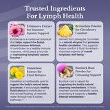 NATION HEALTH MD Lymph MD – ingrédients botaniques: mélange traditionnel pour le soin quotidien.