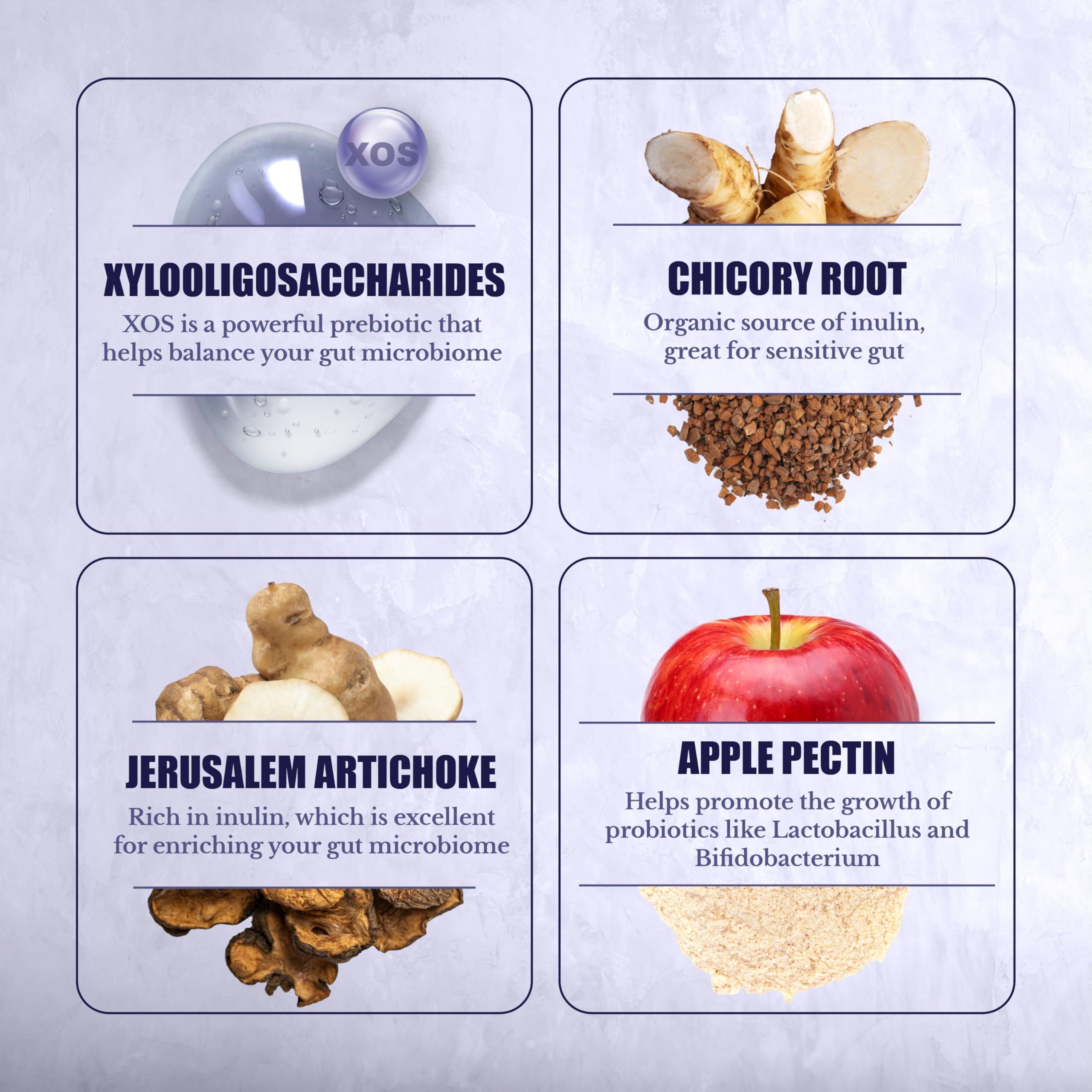 NATION HEALTH MD Prébiotiques – emballage du produit avec informations claires.