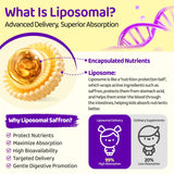 Gouttes NATISLAND Safran Liposome pour enfants, flacon, absorption améliorée possible