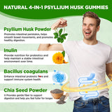 Gommes NATISLAND psyllium husk – probiotiques et inuline