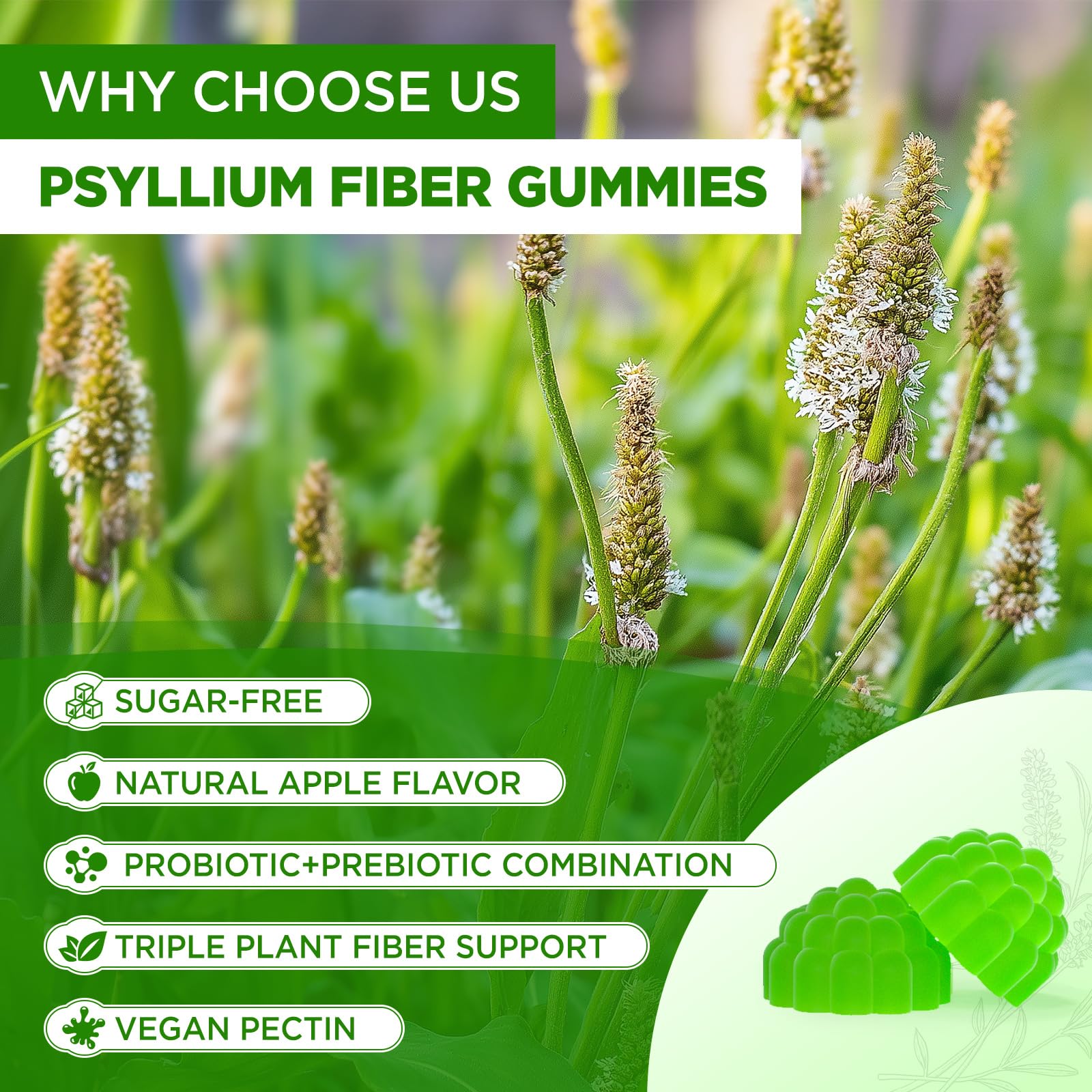 Gommes NATISLAND psyllium husk – saveur pomme sans arrière-goût