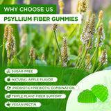 Gommes NATISLAND psyllium husk – saveur pomme sans arrière-goût