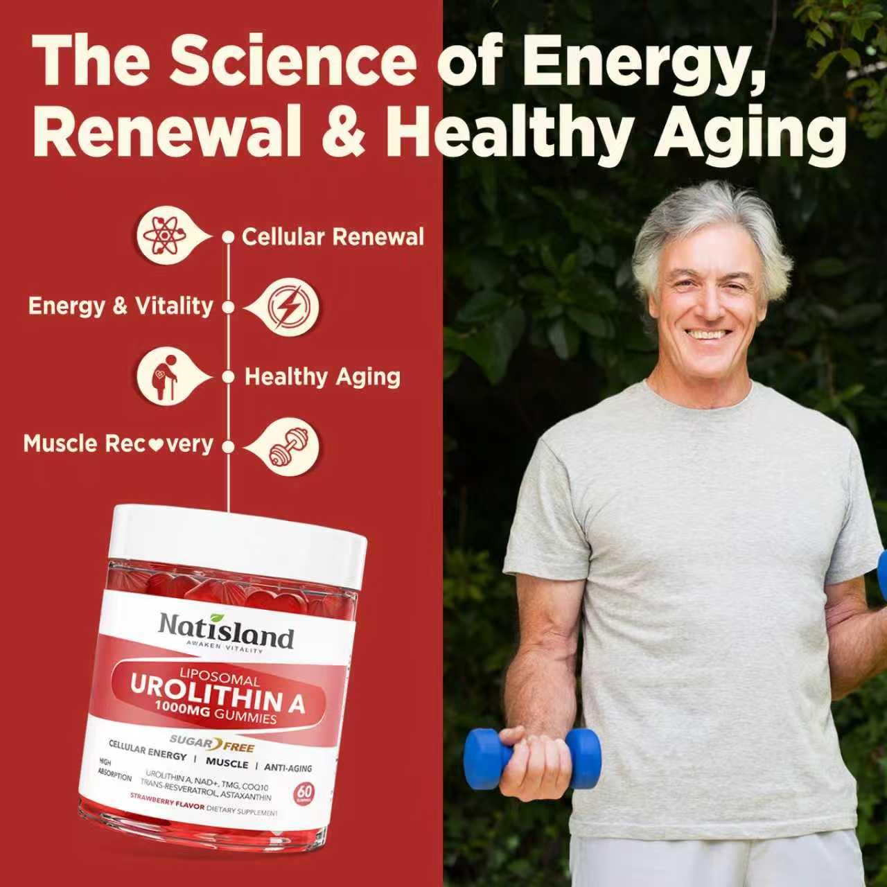 Gamme NATISLAND Urolithin A avec tests tiers de pureté.