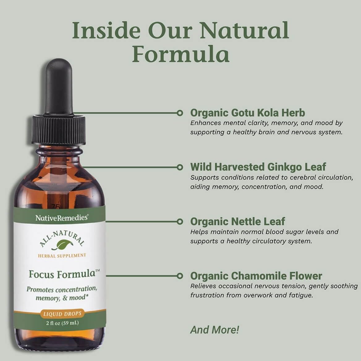 Native Remedies Focus Formula – gros plan sur l’étiquette, rappel de clarté et de concentration.