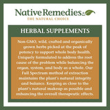 Native Remedies Focus Formula – flacon dans un sac, solution pratique en déplacement.