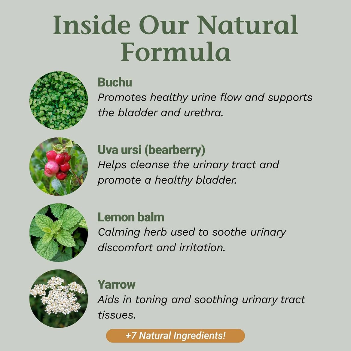 Native Remedies UTI-Clear - etiquette d'emballage pour une presentation lisible.