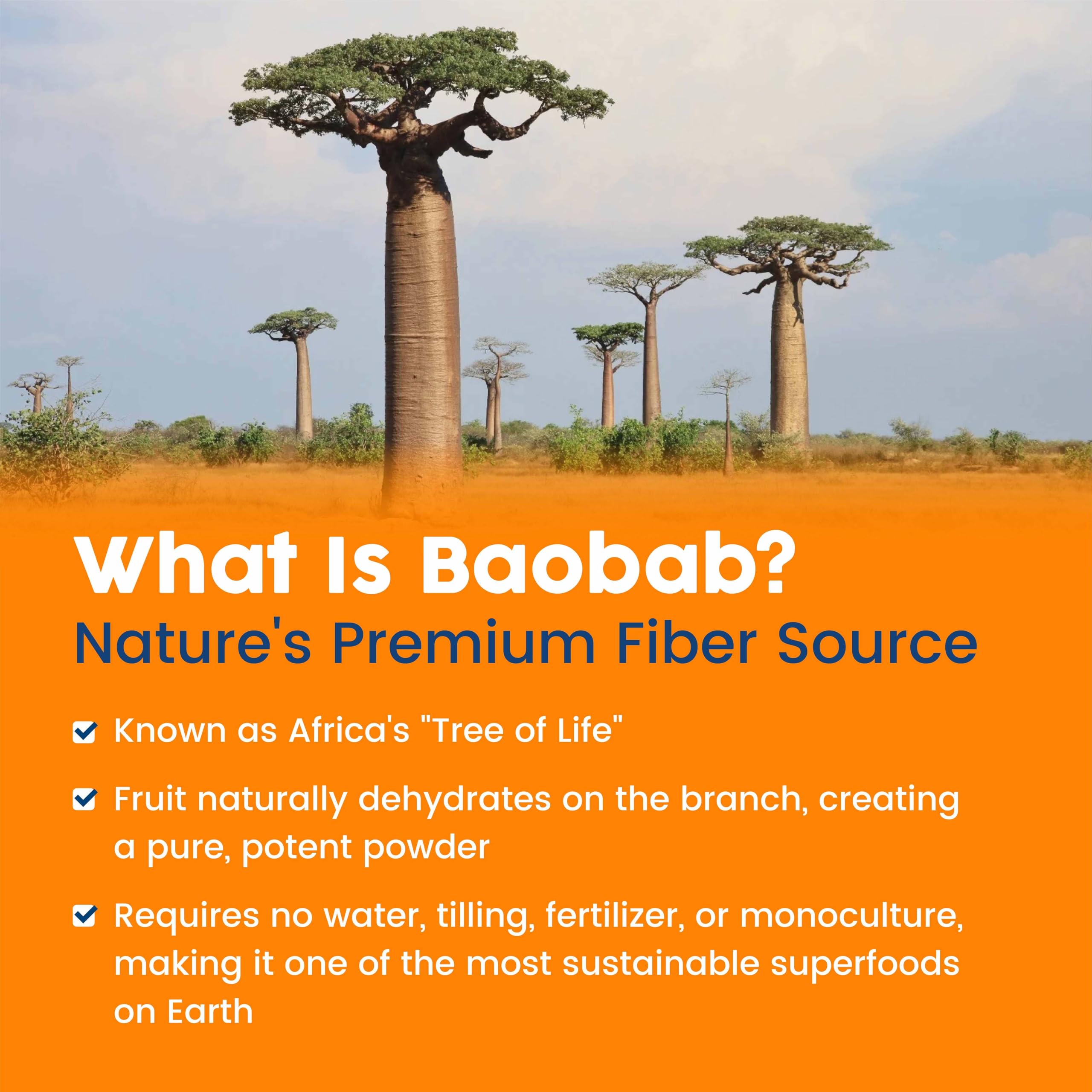 Goût Orange naturel de NativePath Baobab, boisson rafraîchissante.