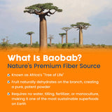 Goût Orange naturel de NativePath Baobab, boisson rafraîchissante.