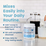 NativePath Bone Health Dosage, portion 5 g Fortibone et 2,5 g Verisol pour un usage quotidien.