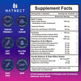 Natnect GLP Activate: ingrédients naturels illustrés, soutien potentiel à la digestion et au confort intestinal