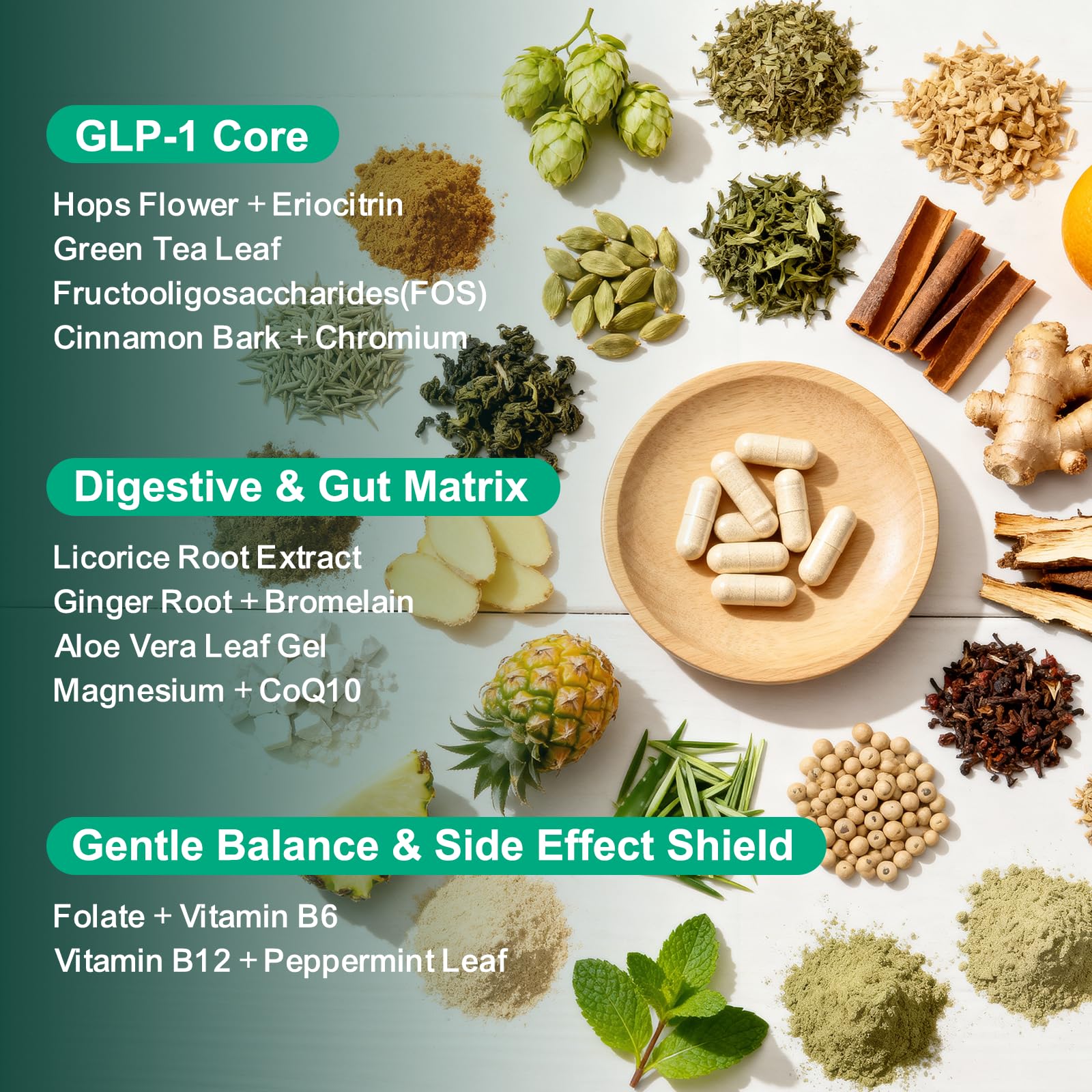Natprime GLP-1 – ingrédients-clefs illustrés, houblon et thé vert pour soutien métabolique