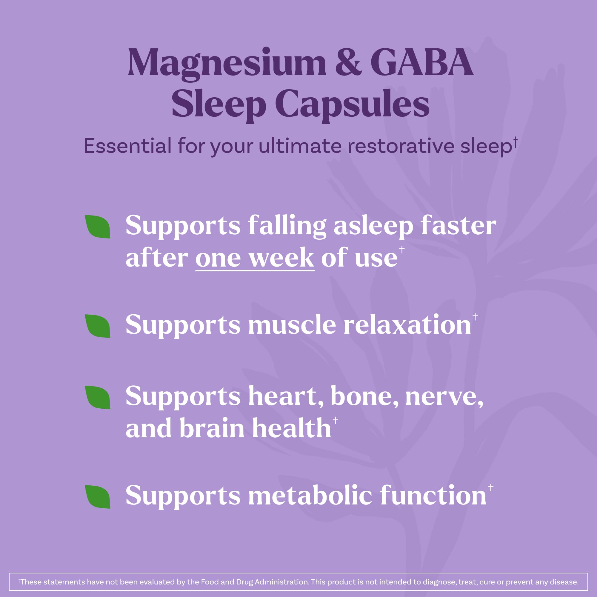 Natrol Sleep & Restore – gros plan sur les capsules prêtes au coucher.
