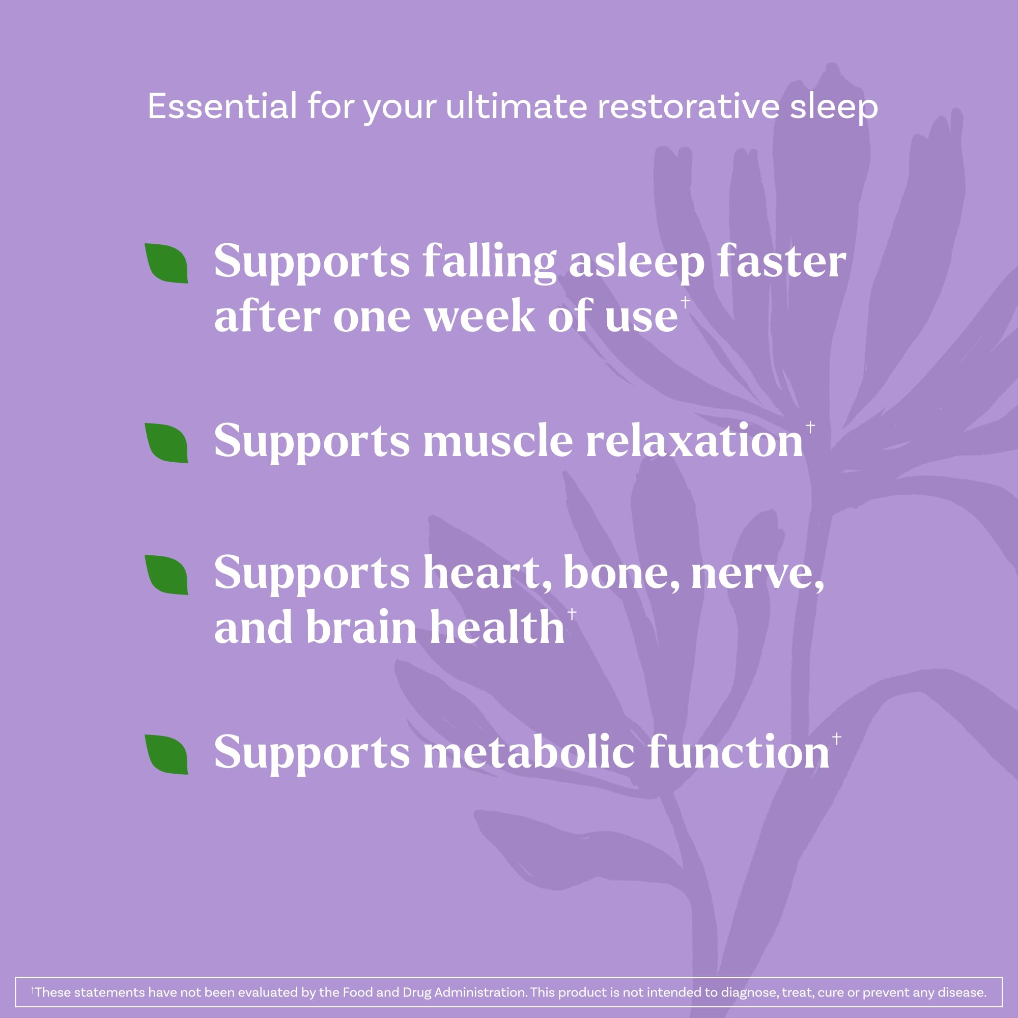 Natrol Sleep & Restore – préparation rapide dans un verre d eau chaude