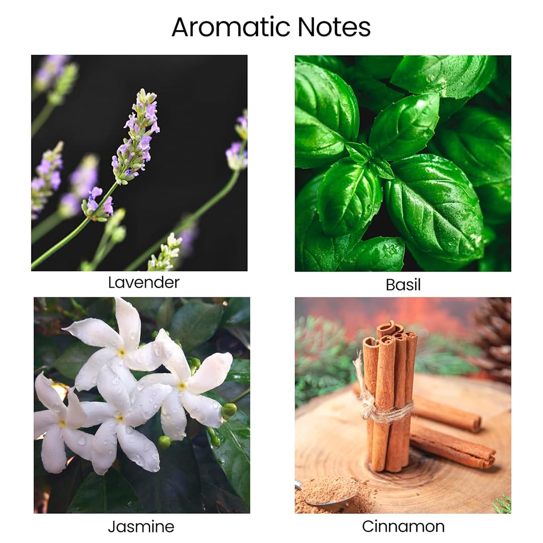 Natur IX bougie emballage cadeau prête à offrir pour fête.