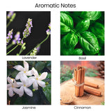 Natur IX bougie emballage cadeau prête à offrir pour fête.