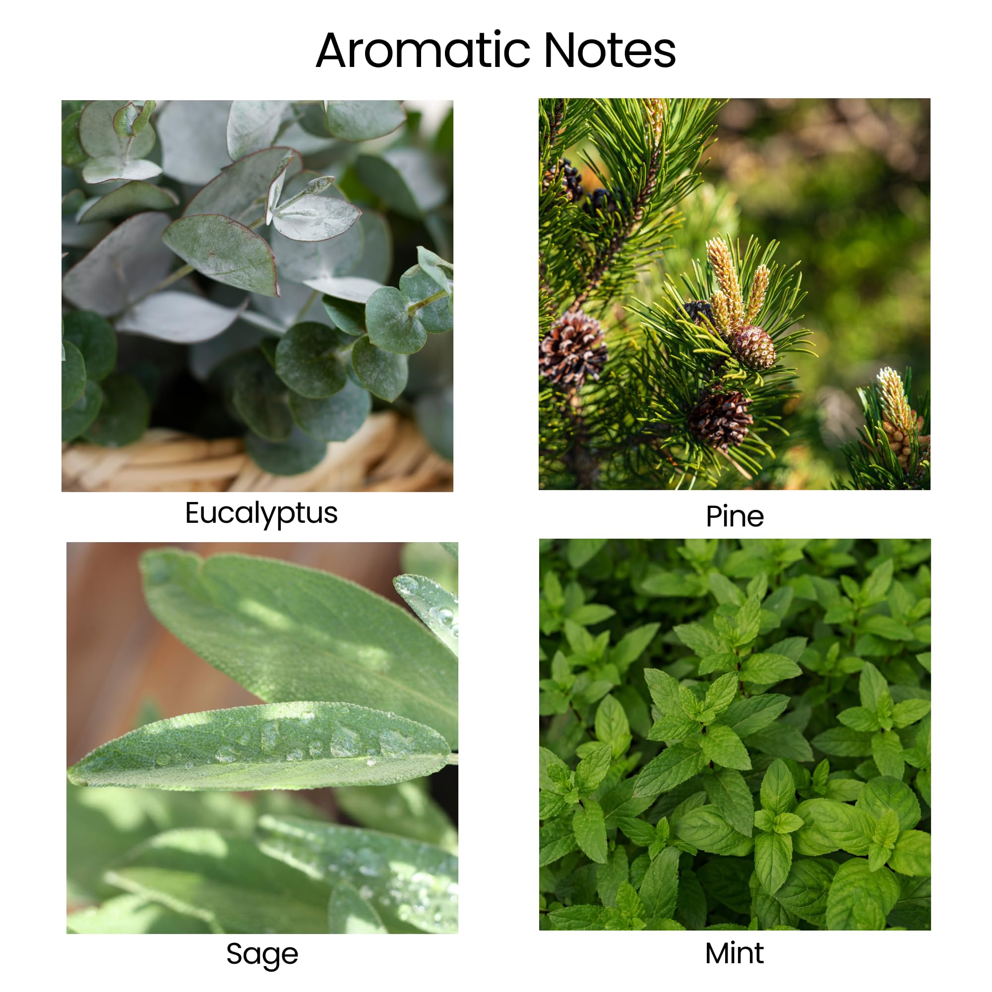 Natur IX Bougie Soy clarte-mentale : aide à la concentration pendant la méditation.