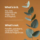 Natur IX Bougie Soy méditation-relaxation : parfums frais favorisant la respiration profonde.