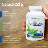 Natural Cure Labs – Gélules véganes pour digestion et énergie au quotidien.