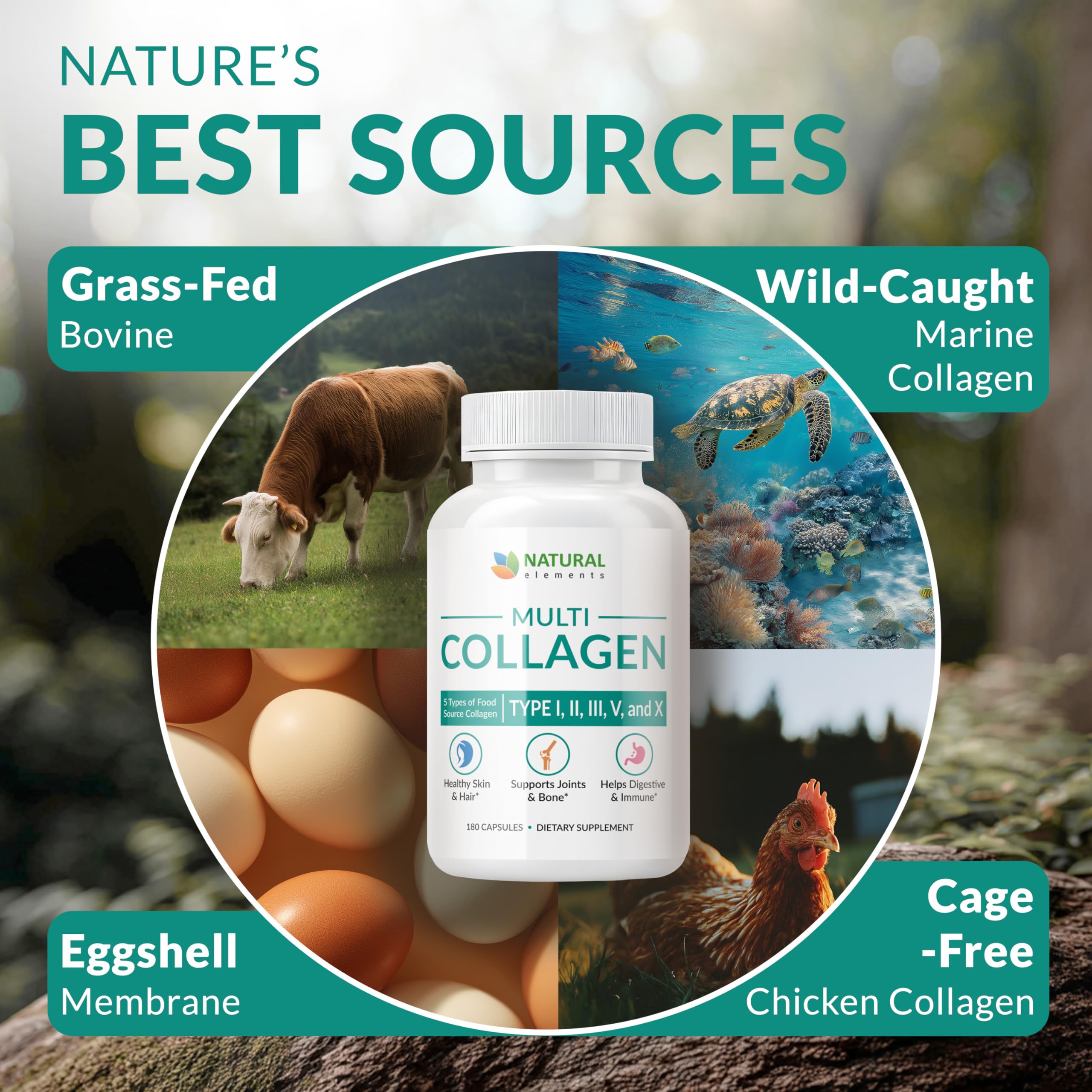 Natural Elements collagene poulet bouillon: support mobilité et peau
