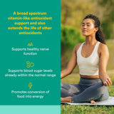 Natural Factors Acide Alpha-Lipoïque 100 mg – gélules en gros plan, énergie potentielle.