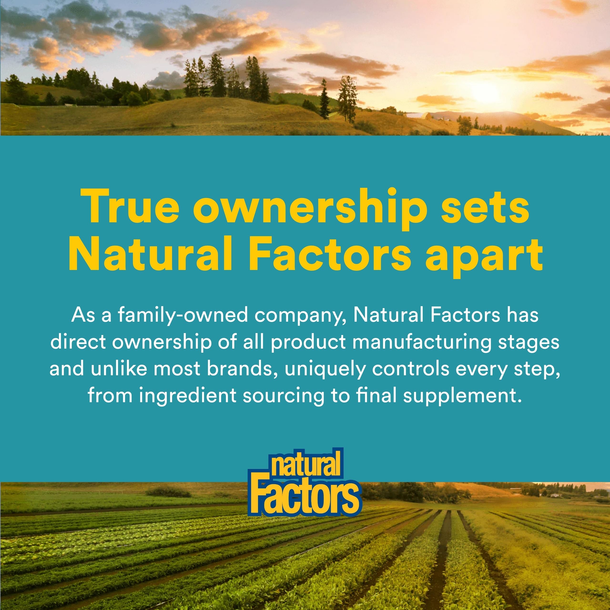 Natural Factors acide alpha-lipoïque 200 mg – usage quotidien pratique.