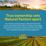 Boîte Natural Factors Acidophilus & Bifidus prête à l’achat