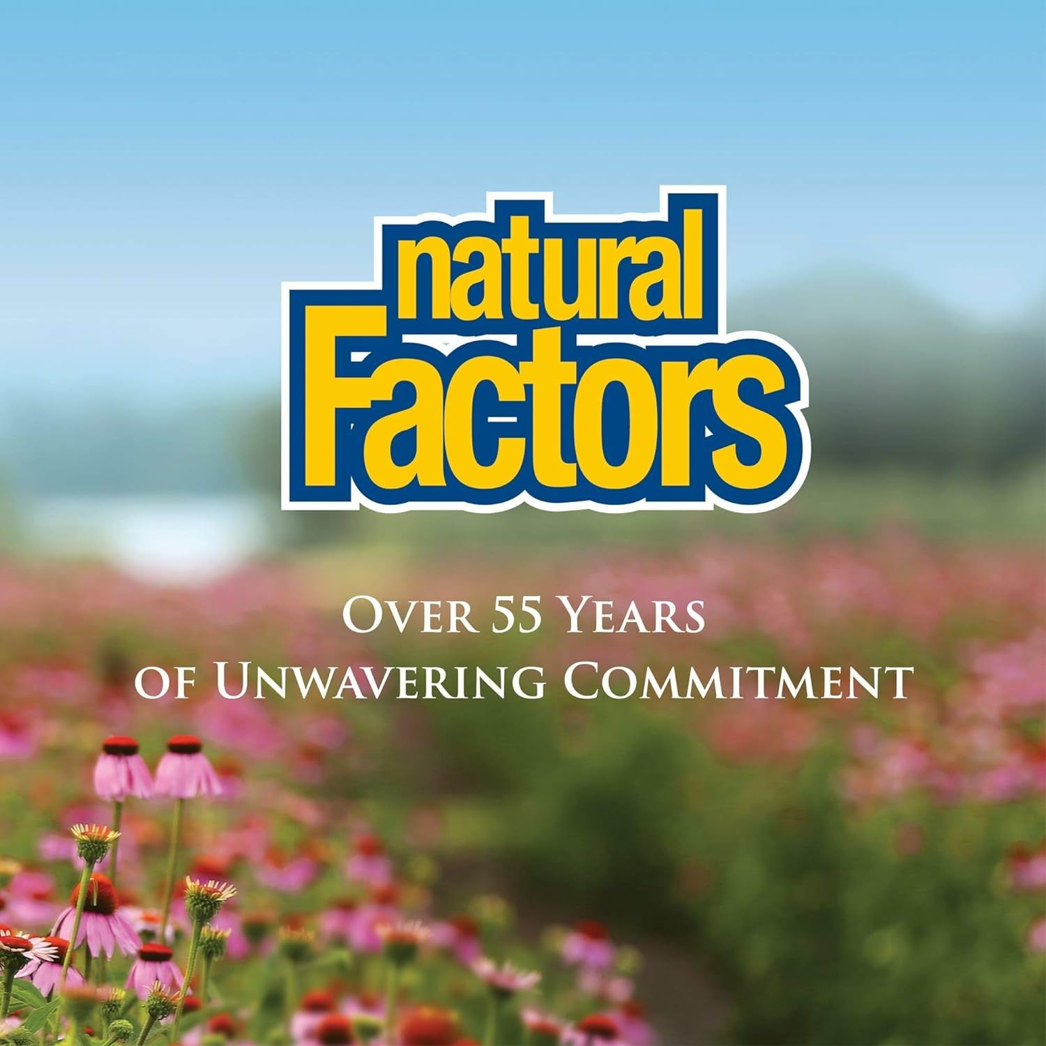Natural Factors Acidophilus Bifidus Double Strength - 180 gélules indiquées