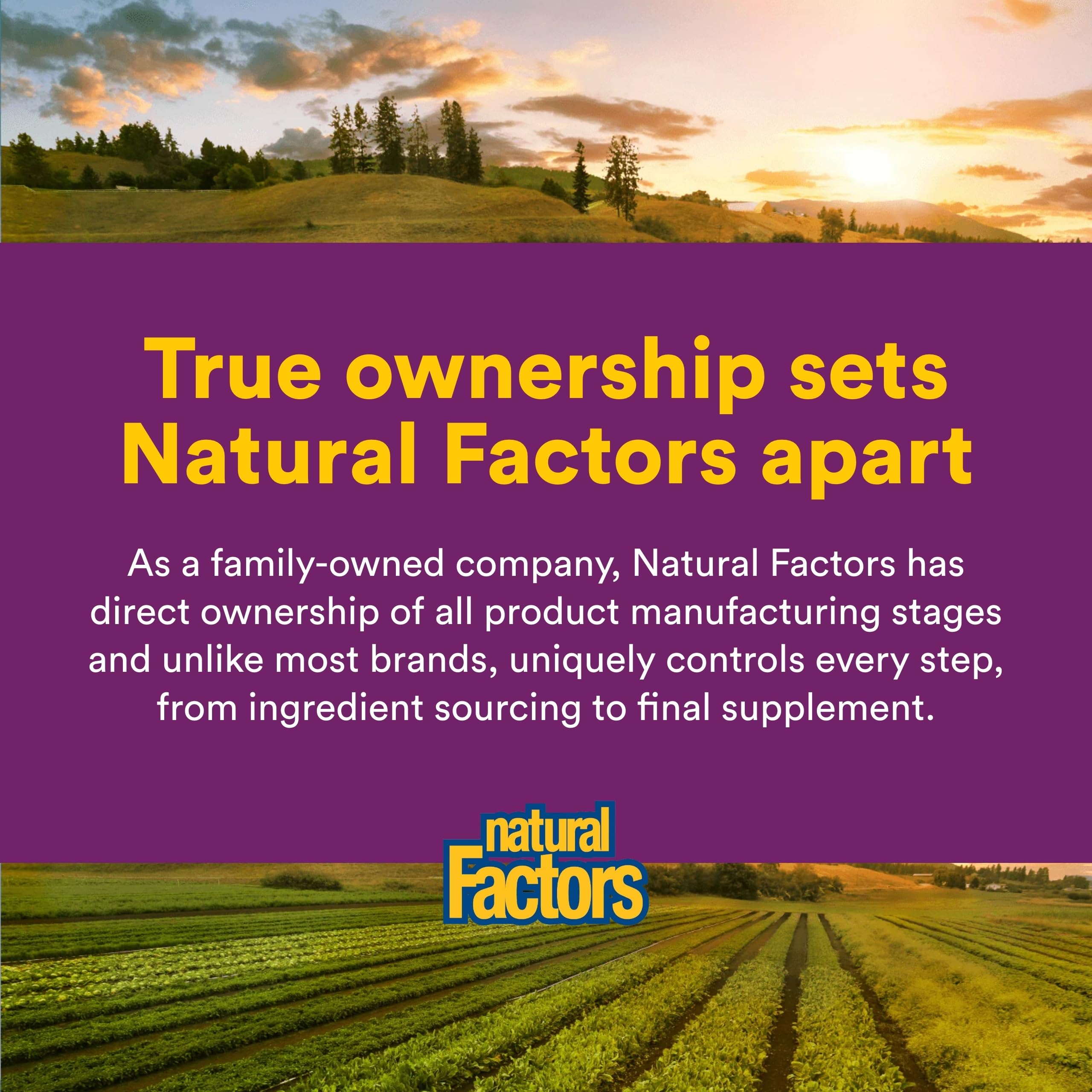 Utilisation quotidienne simple avec Natural Factors B12 1000 µg.