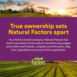 Utilisation quotidienne simple avec Natural Factors B12 1000 µg.