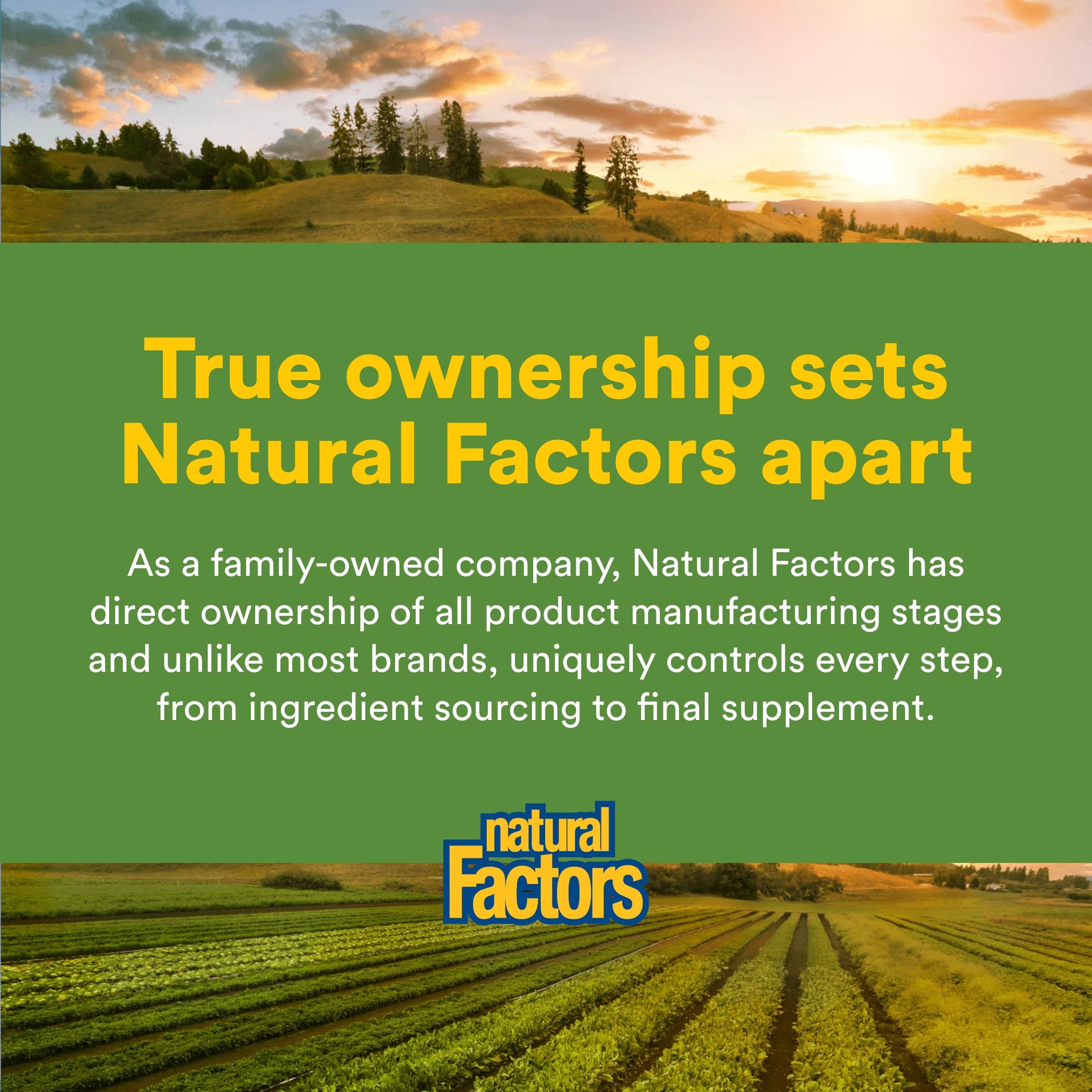 Natural Factors Betaine HCL 500 mg – utilisation recommandée pour soutenir une digestion équilibrée.