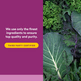 Boîte imprimée Natural Factors BioCoenzymated Pantethine reflétant qualité.