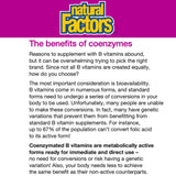 Natural Factors Biocoenzymated Methylfolate tableau des ingrédients — transparence et pureté garanties.