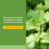 Natural Factors usine propre encapsulation et extraction, cohérence du produit.