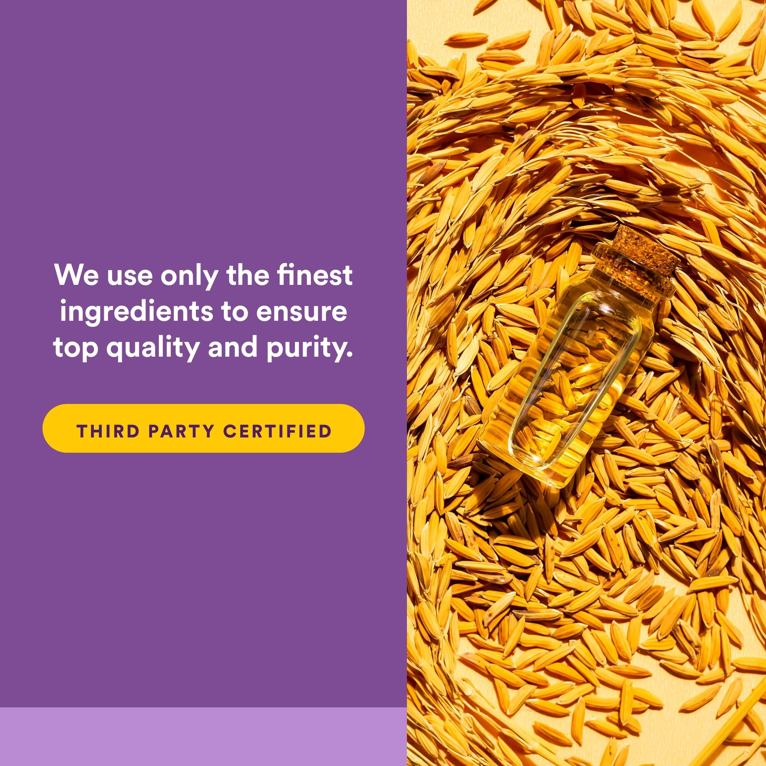 Natural Factors Coenzyme Q10: sans soja, adapté à divers régimes.