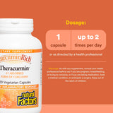 Natural Factors CurcuminRich Theracurmin – dose journalière recommandée emballage