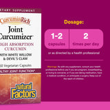 Natural Factors Curcumizer: polyphénols de fruits Ultra, soutien antioxydant dans une routine quotidienne.