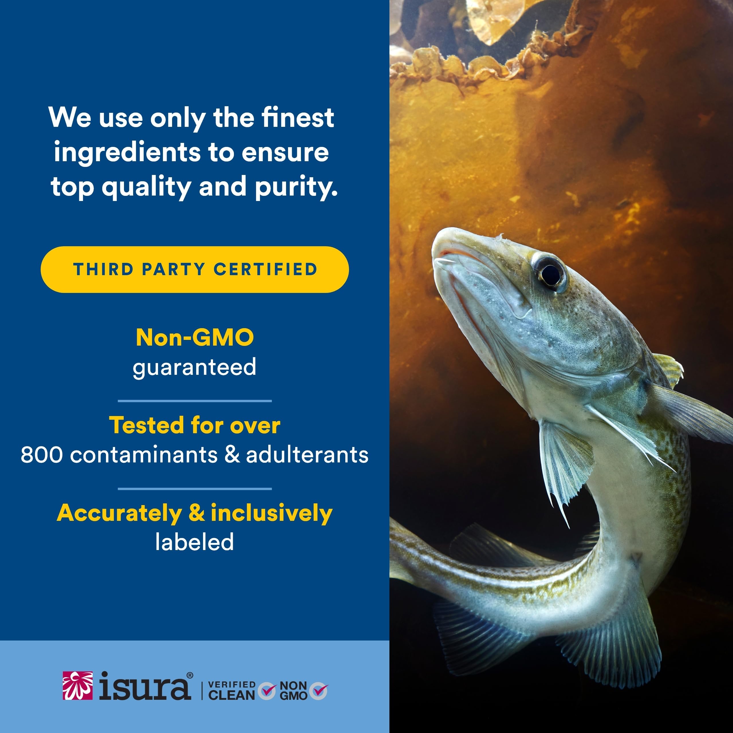 Natural Factors emballage huile foie morue: flacon pratique sans additifs artificiels.