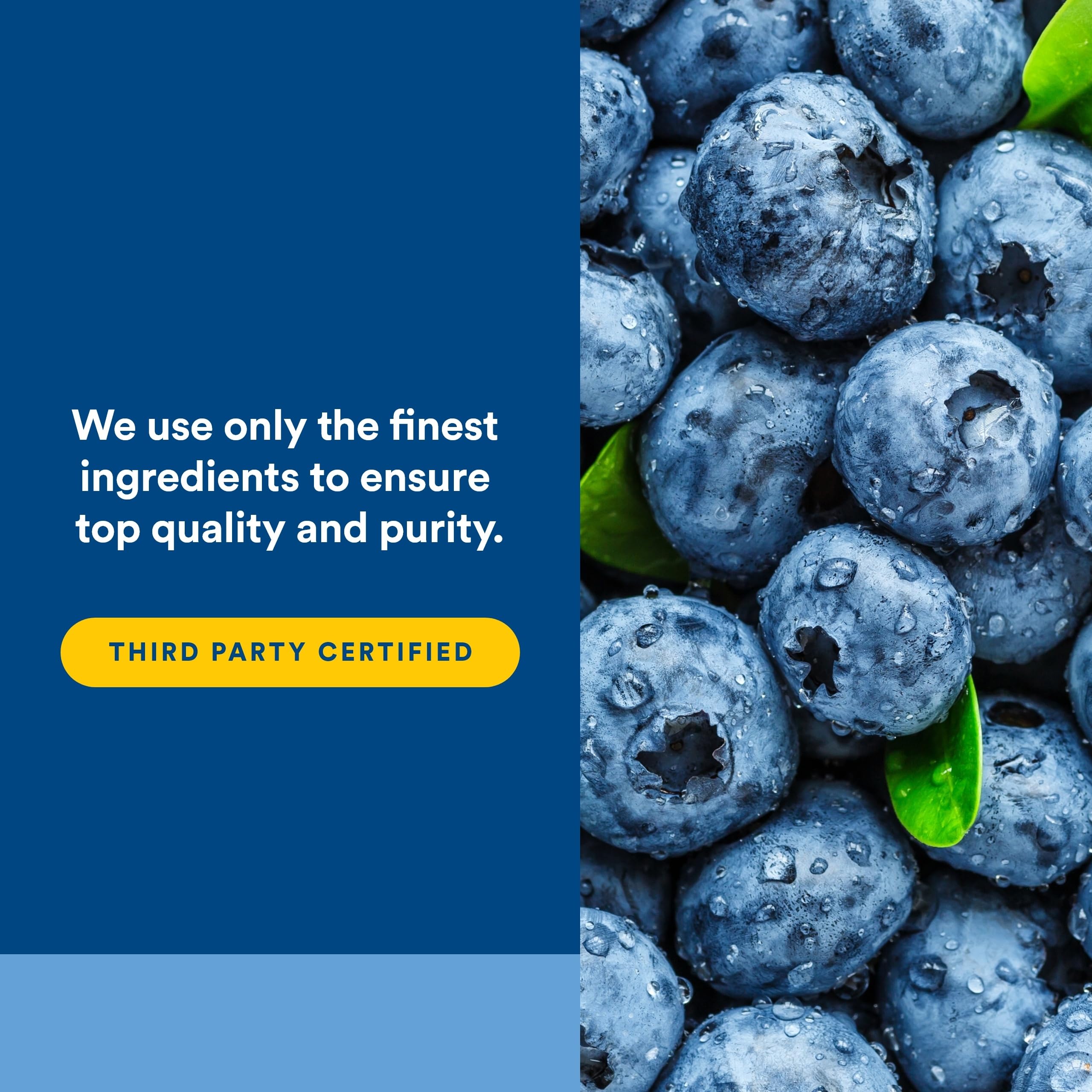 Extrait de graines de raisin Natural Factors, nutriments antioxydants protecteurs.