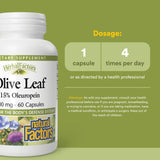 Natural Factors Feuille Olivier 500 mg – capsule et étiquette, présentation du produit