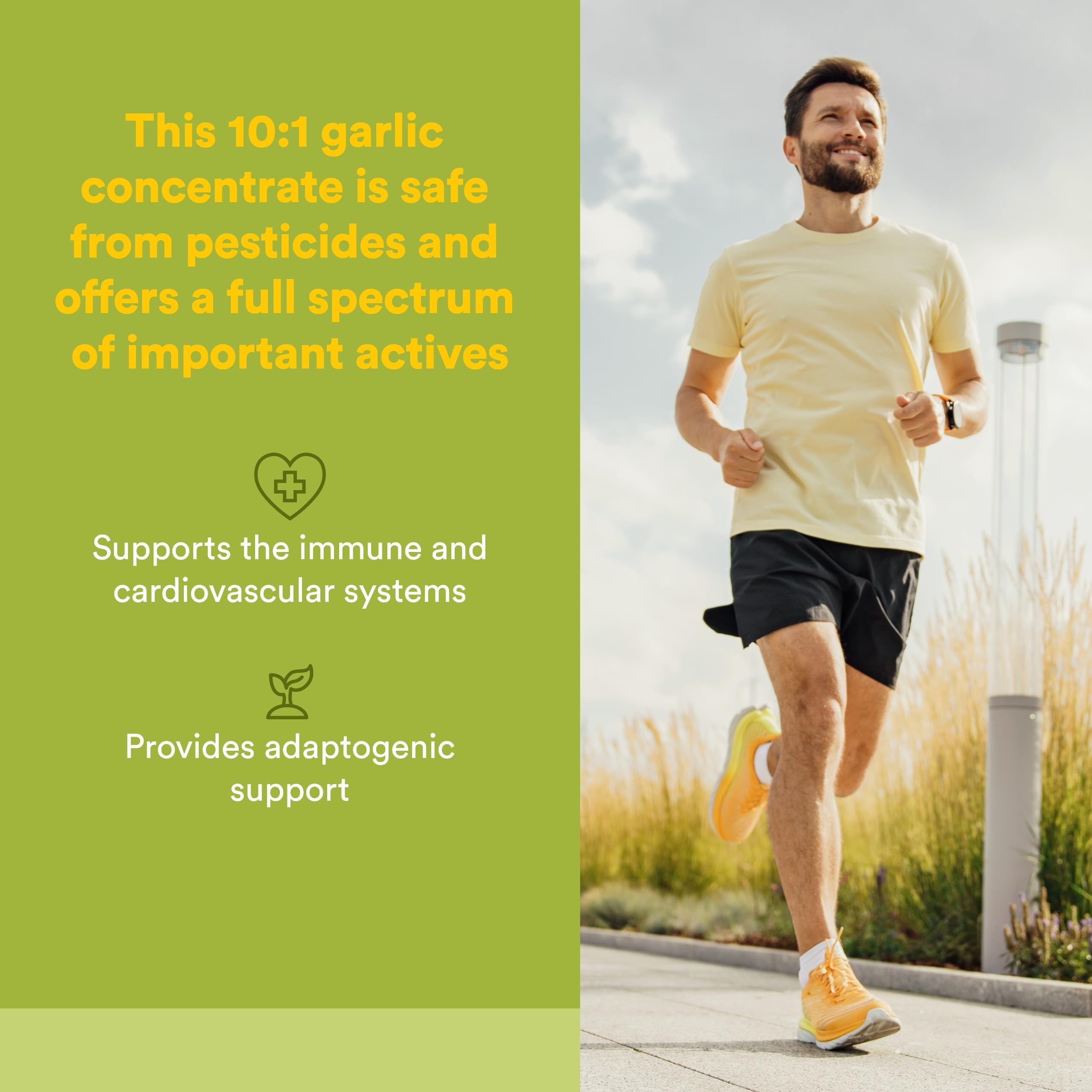 Natural Factors GarlicRich – bouteille vue arrière, informations sur la concentration lisibles.