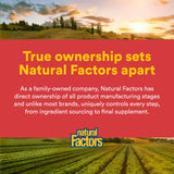 Natural Factors Glucosamine Sulfate – présentation produit, matière naturelle et contrôle qualité.