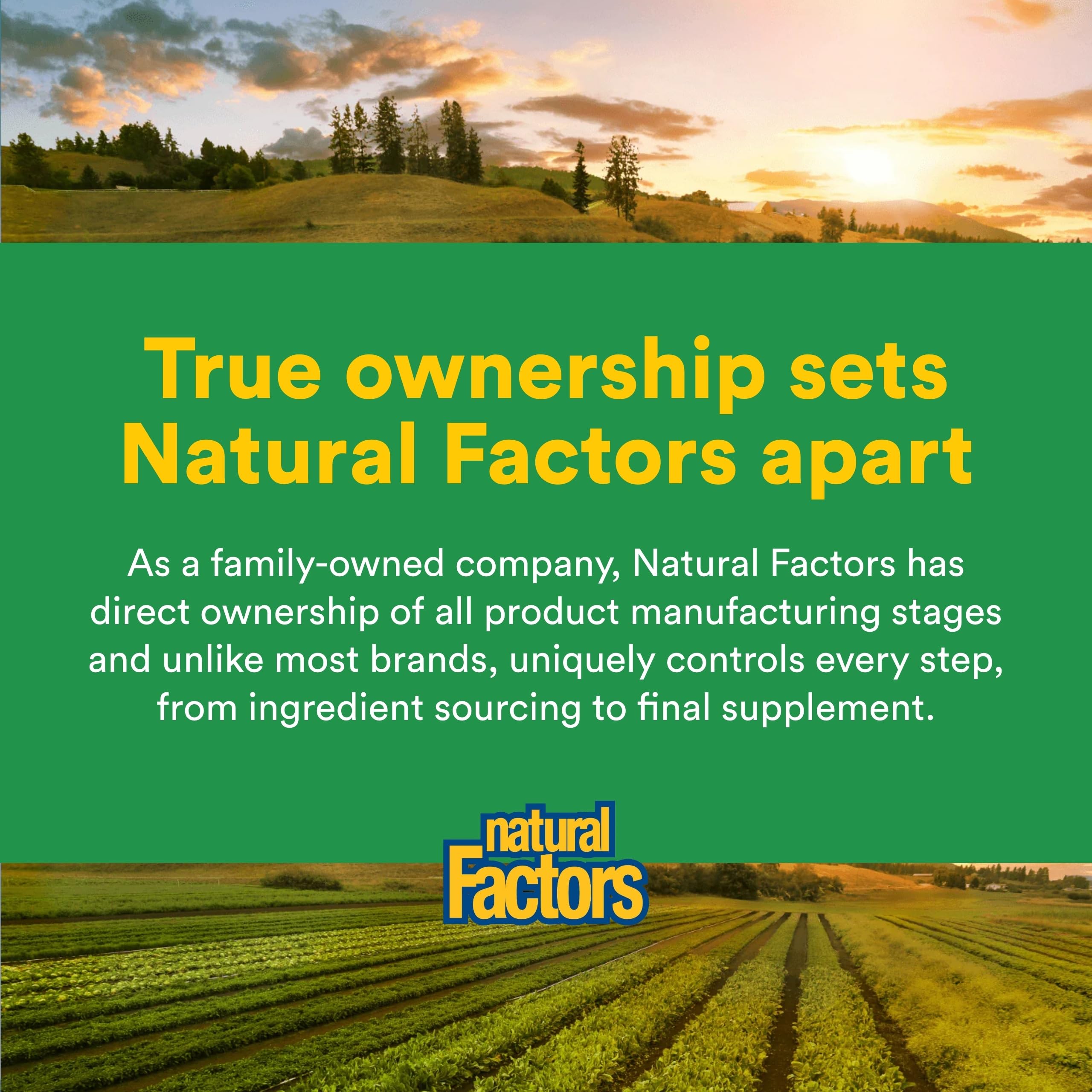 Tasse fumante de Natural Factors Golden Milk Poudre pour un rituel bien-être quotidien.